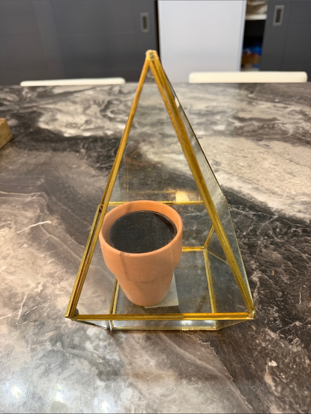Gold Glass Pyramid Terrarium with Gold Home Accentsl - Picture 14 of 16